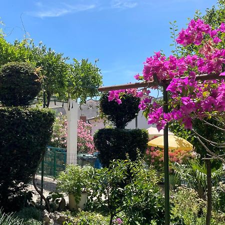 Apartman Jokic Appartamento Selce Esterno foto